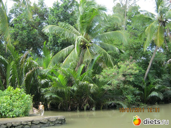 �������� �� ����, ������: ���� ����������� � ������� � ��������