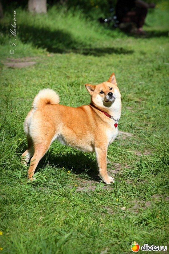 5 ����: � � ��� ����