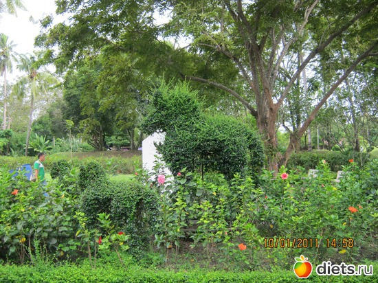 40 ����: ���� ����������� � ������� � ��������