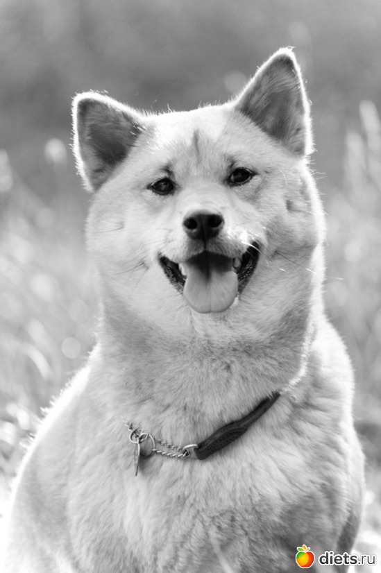 6 ����: � � ��� ����