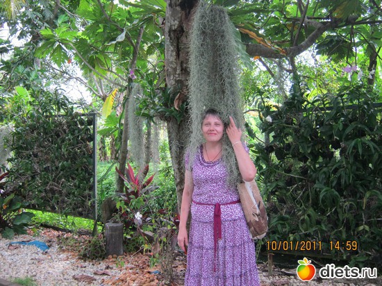 41 ����: ���� ����������� � ������� � ��������