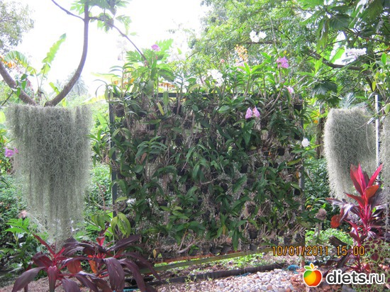 � ������ ���������� ������, ������: ���� ����������� � ������� � ��������