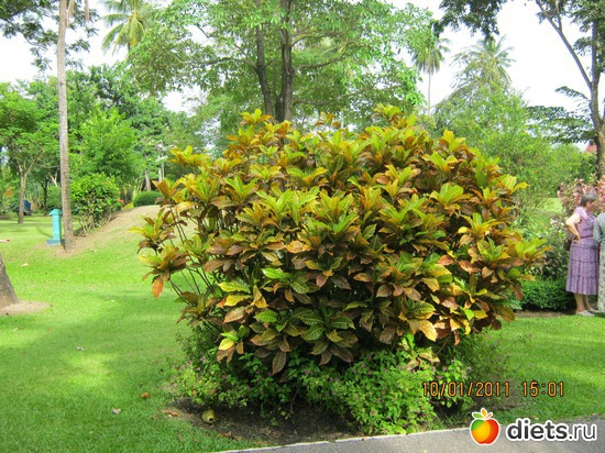 43 ����: ���� ����������� � ������� � ��������