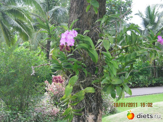 44 ����: ���� ����������� � ������� � ��������