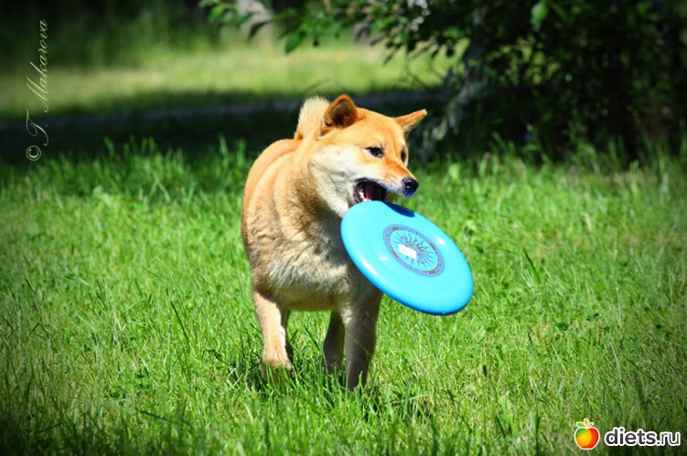 7 ����: � � ��� ����