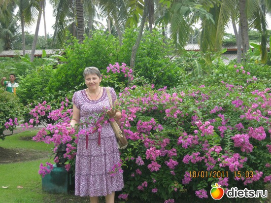 45 ����: ���� ����������� � ������� � ��������