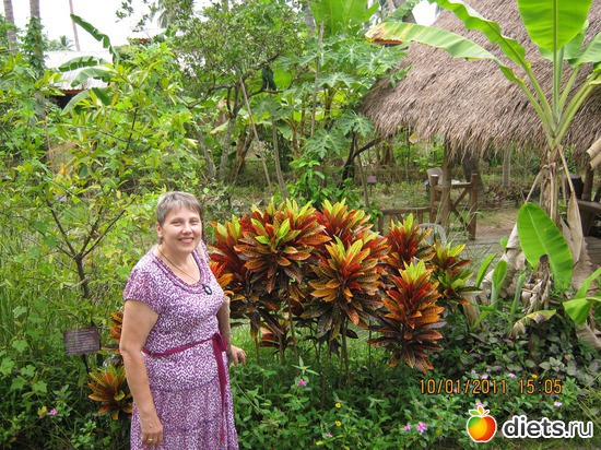 48 ����: ���� ����������� � ������� � ��������