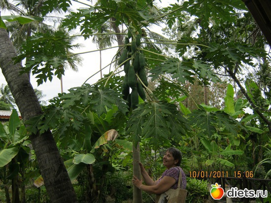 49 ����: ���� ����������� � ������� � ��������