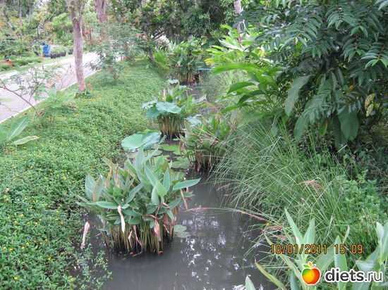 52 ����: ���� ����������� � ������� � ��������