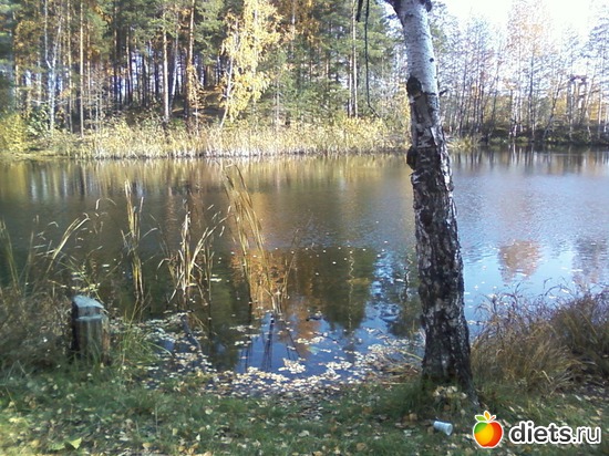 1 ����: ����� �� �����