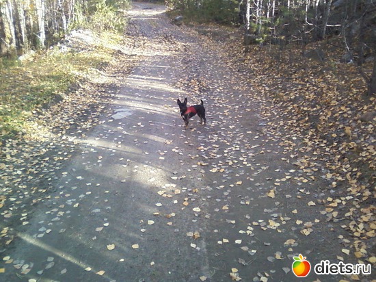 3 ����: ����� �� �����