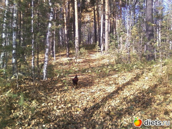 5 ����: ����� �� �����