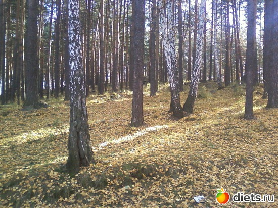 6 ����: ����� �� �����