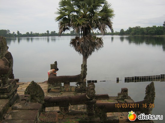 ������������  � ������������ ��������, ������: ���� ����������� � ������� � ��������