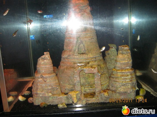 6 ����: ���� ����������� � ������� � ��������