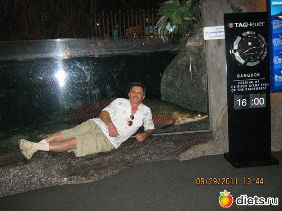 8 ����: ���� ����������� � ������� � ��������