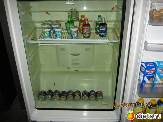 ��� ��� ����� ������������ �����������, ������: ���� ����������� � ������� � ��������