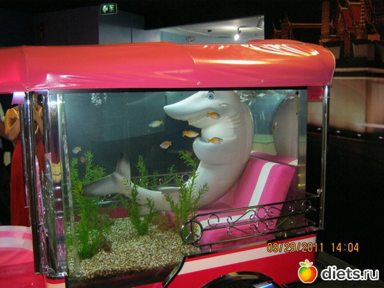 �������, ������: ���� ����������� � ������� � ��������