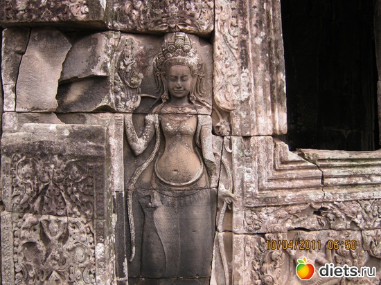 ������ ...., ������: ���� ����������� � ������� � ��������