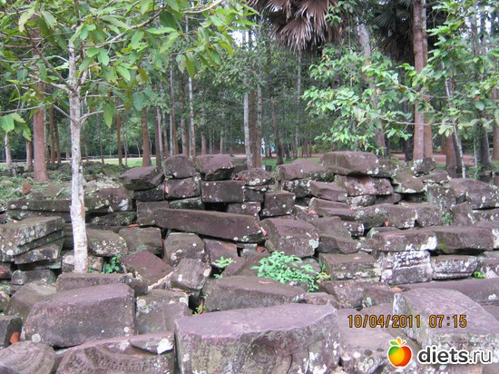 67 ����: ���� ����������� � ������� � ��������