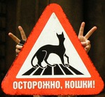 Наконец-то! Лед тронулся! Я начала стройнеть!