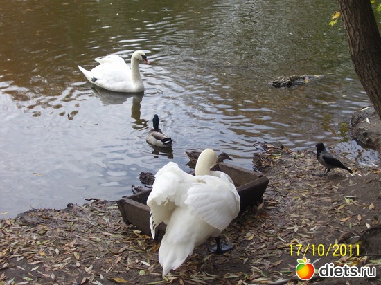 2 ����: ����� � �������� (2011)