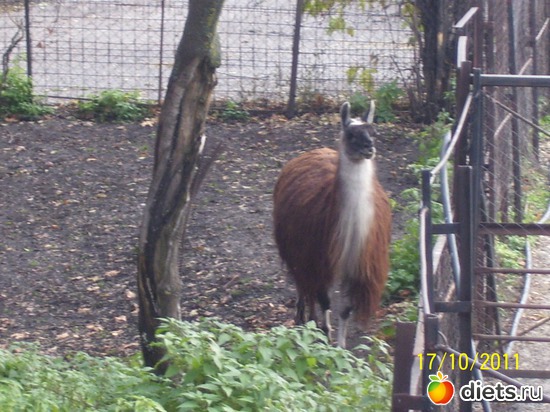 4 ����: ����� � �������� (2011)