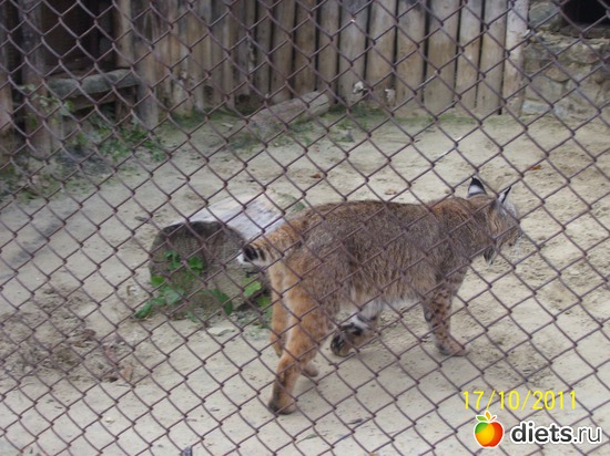 7 ����: ����� � �������� (2011)