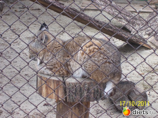 8 ����: ����� � �������� (2011)