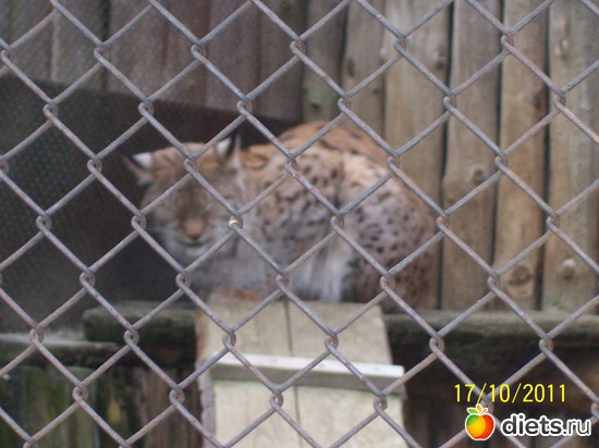 10 ����: ����� � �������� (2011)