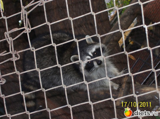 15 ����: ����� � �������� (2011)