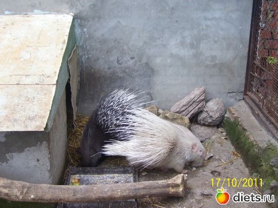 16 ����: ����� � �������� (2011)