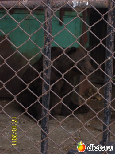 18 ����: ����� � �������� (2011)