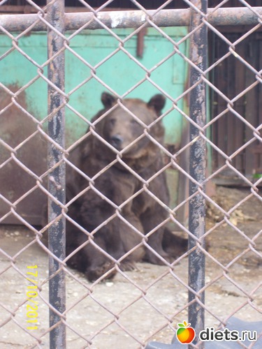 19 ����: ����� � �������� (2011)