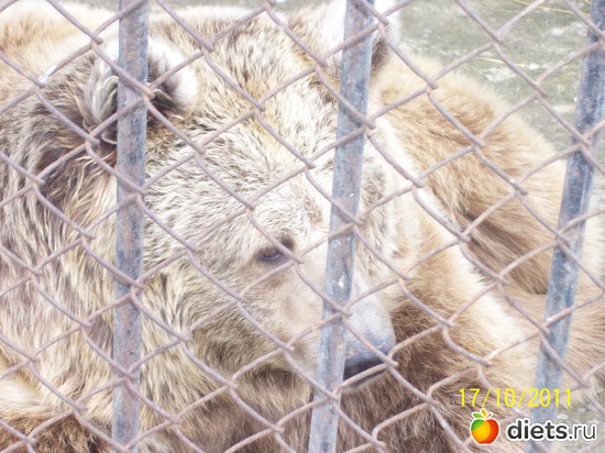 20 ����: ����� � �������� (2011)