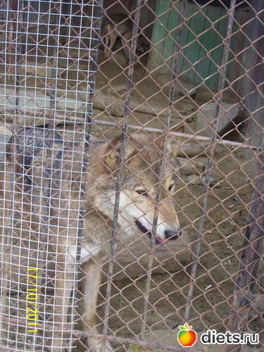 22 ����: ����� � �������� (2011)