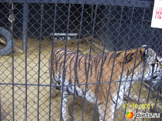 23 ����: ����� � �������� (2011)