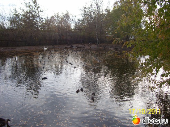 25 ����: ����� � �������� (2011)