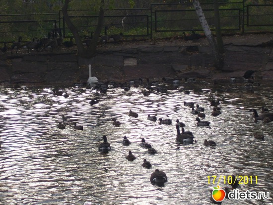 27 ����: ����� � �������� (2011)