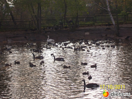 28 ����: ����� � �������� (2011)