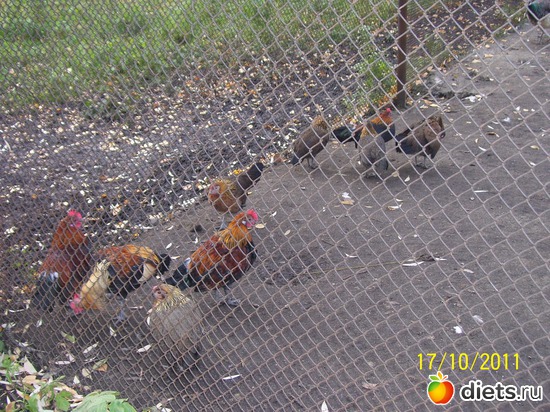 32 ����: ����� � �������� (2011)