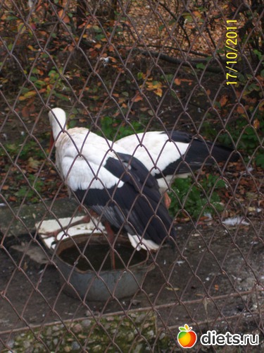 33 ����: ����� � �������� (2011)