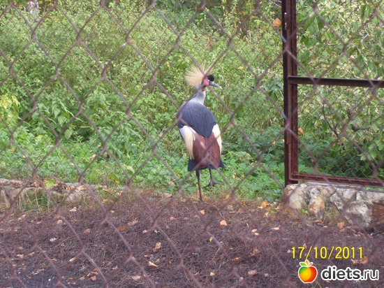 35 ����: ����� � �������� (2011)