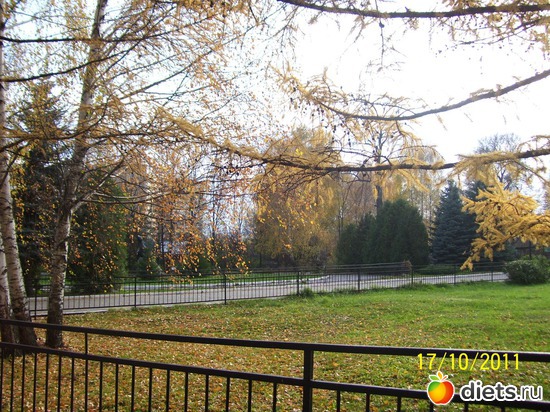 41 ����: ����� � �������� (2011)