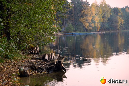 1 ����: �����