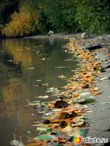 2 ����: �����