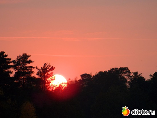 10 ����: �����