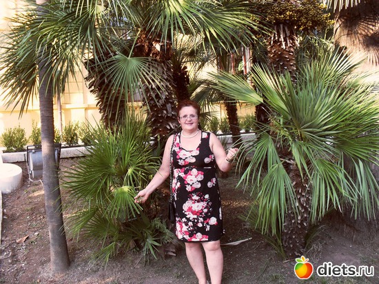 1 ����: ��� ��  �������������