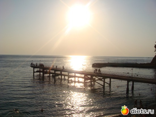 �������. ������-2009, ������: �������