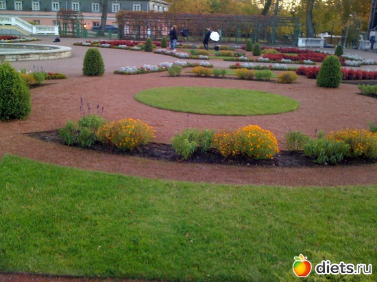 2 ����: Oc��� 2011